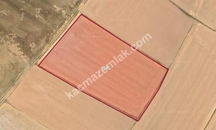 Kütahya Altıntaş Üçüyük' De 5385M2 Satılık Tarla 9