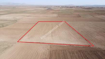 Kütahya Altıntaş Üçüyük' De 5385M2 Satılık Tarla 23