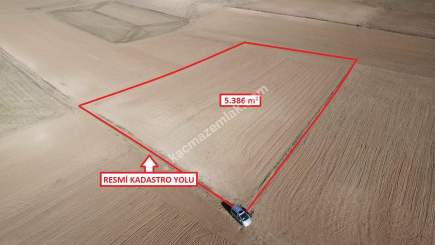Kütahya Altıntaş Üçüyük' De 5385M2 Satılık Tarla 12