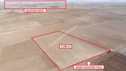 Kütahya Altıntaş Üçüyük' De 5385M2 Satılık Tarla 3