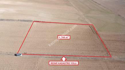 Kütahya Altıntaş Üçhüyük' De 4744 M2 Satılık Tarla 10