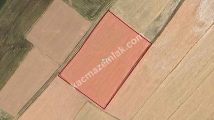 Kütahya Altıntaş Üçhüyük' De 4744 M2 Satılık Tarla 9