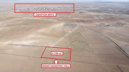 Kütahya Altıntaş Üçhüyük' De 4744 M2 Satılık Tarla 7
