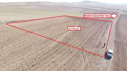 Kütahya Altıntaş Üçhüyük' De 4744 M2 Satılık Tarla 13