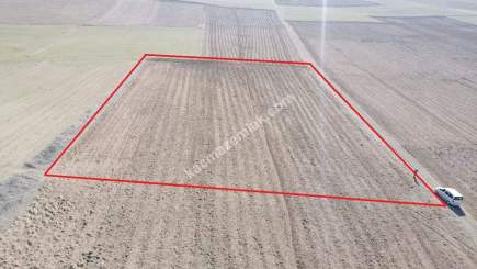 Kütahya Altıntaş Üçhüyük' De 4744 M2 Satılık Tarla 24