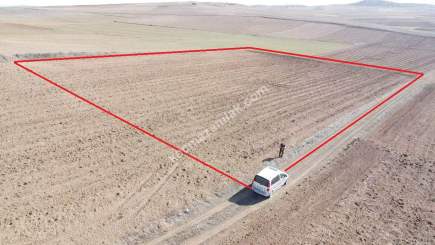 Kütahya Altıntaş Üçhüyük' De 4744 M2 Satılık Tarla 16