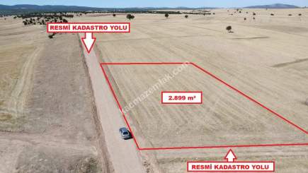 Kütahya Altıntaş Üçüyük' De 2899M2 Satılık Tarla 2