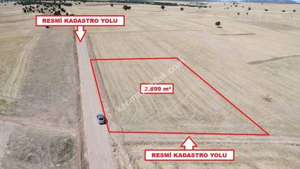 Kütahya Altıntaş Üçüyük' De 2899M2 Satılık Tarla 11