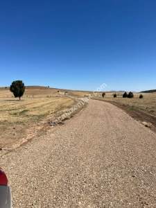 Kütahya Altıntaş Üçüyük' De 2899M2 Satılık Tarla 21