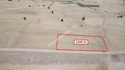 Kütahya Altıntaş Üçüyük' De 2899M2 Satılık Tarla 12