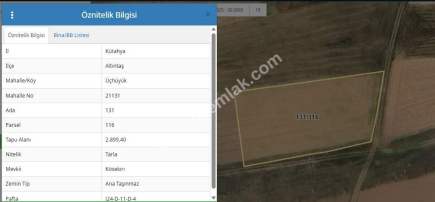 Kütahya Altıntaş Üçüyük' De 2899M2 Satılık Tarla 5