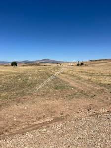 Kütahya Altıntaş Üçüyük' De 2899M2 Satılık Tarla 19