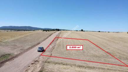 Kütahya Altıntaş Üçüyük' De 2899M2 Satılık Tarla 17