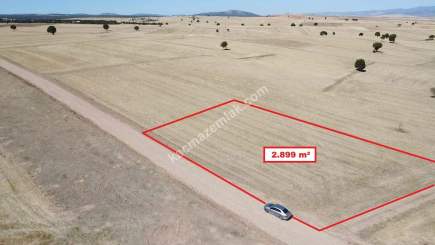 Kütahya Altıntaş Üçüyük' De 2899M2 Satılık Tarla 23