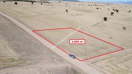 Kütahya Altıntaş Üçüyük' De 2899M2 Satılık Tarla 15