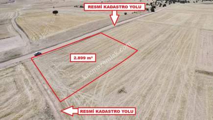 Kütahya Altıntaş Üçüyük' De 2899M2 Satılık Tarla 7