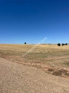 Kütahya Altıntaş Üçüyük' De 2899M2 Satılık Tarla 22