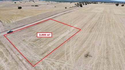 Kütahya Altıntaş Üçüyük' De 2899M2 Satılık Tarla 20