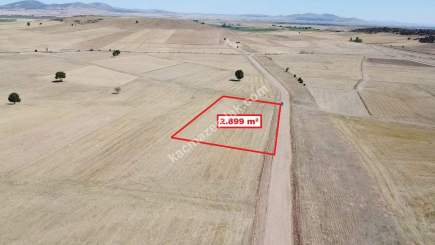 Kütahya Altıntaş Üçüyük' De 2899M2 Satılık Tarla 14