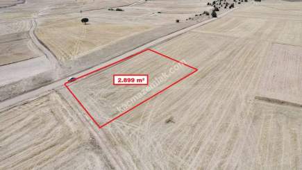 Kütahya Altıntaş Üçüyük' De 2899M2 Satılık Tarla 24