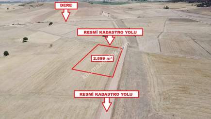 Kütahya Altıntaş Üçüyük' De 2899M2 Satılık Tarla 4