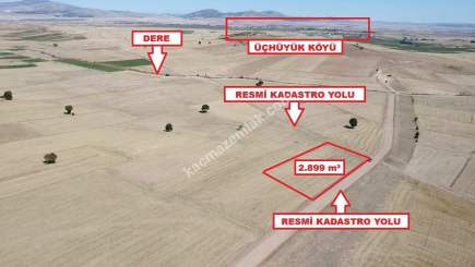 Kütahya Altıntaş Üçüyük' De 2899M2 Satılık Tarla 1