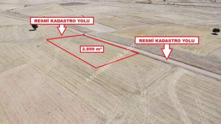 Kütahya Altıntaş Üçüyük' De 2899M2 Satılık Tarla 3