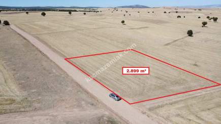 Kütahya Altıntaş Üçüyük' De 2899M2 Satılık Tarla 18