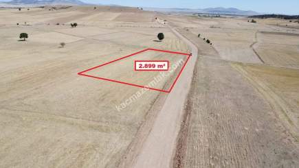 Kütahya Altıntaş Üçüyük' De 2899M2 Satılık Tarla 16