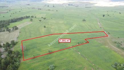 Kütahya Aslanapa Aslıhanlar 7391 M2 Satılık Tarla 16