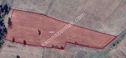 Kütahya Aslanapa Aslıhanlar 7391 M2 Satılık Tarla 6