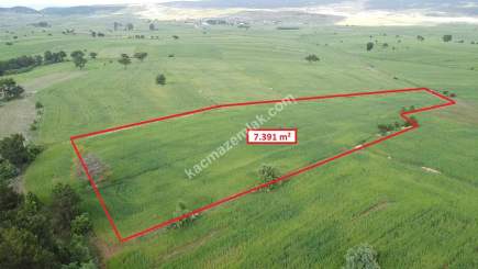 Kütahya Aslanapa Aslıhanlar 7391 M2 Satılık Tarla 15