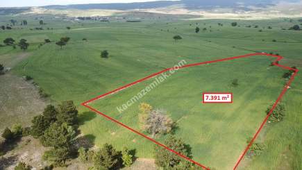 Kütahya Aslanapa Aslıhanlar 7391 M2 Satılık Tarla 17
