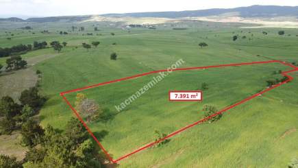 Kütahya Aslanapa Aslıhanlar 7391 M2 Satılık Tarla 19