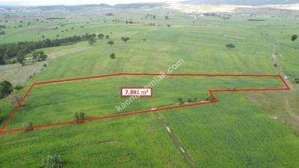 Kütahya Aslanapa Aslıhanlar 7391 M2 Satılık Tarla 4