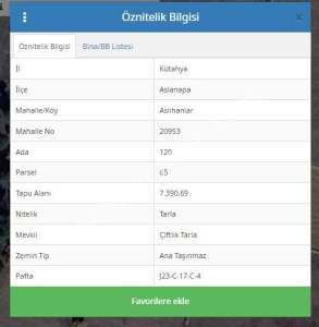 Kütahya Aslanapa Aslıhanlar 7391 M2 Satılık Tarla 5