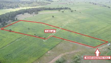 Kütahya Aslanapa Aslıhanlar 7391 M2 Satılık Tarla 9