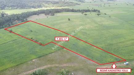 Kütahya Aslanapa Aslıhanlar 7391 M2 Satılık Tarla 13