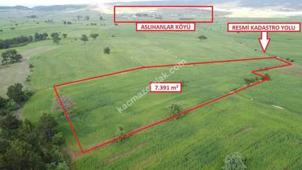 Kütahya Aslanapa Aslıhanlar 7391 M2 Satılık Tarla 12