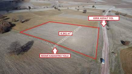 Kütahya Aslanapa Ballıbaba' Da 4340 M2 Satılık Arsa 14