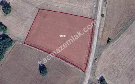 Kütahya Aslanapa Ballıbaba' Da 4340 M2 Satılık Arsa 3