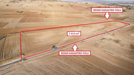 Kütahya Aslanapa Bezirgan'da 7924M2 Satılık Tarla 2