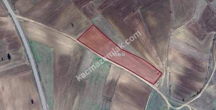 Kütahya Aslanapa Bezirgan'da 7924M2 Satılık Tarla 3