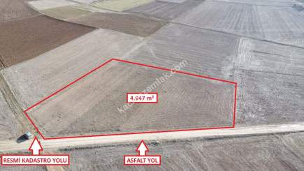 Kütahya Aslanapa Çalköy' De 4947M2 Satılık Tarla 7