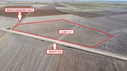 Kütahya Aslanapa Çalköy' De 4947M2 Satılık Tarla 25