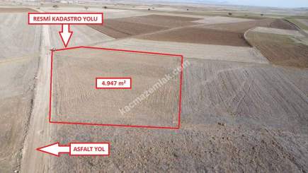 Kütahya Aslanapa Çalköy' De 4947M2 Satılık Tarla 5