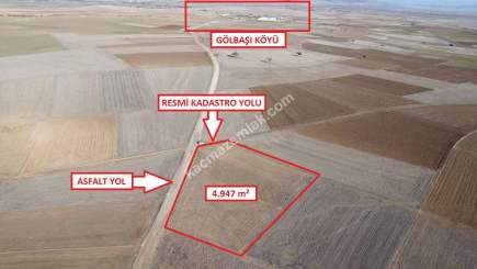 Kütahya Aslanapa Çalköy' De 4947M2 Satılık Tarla 1