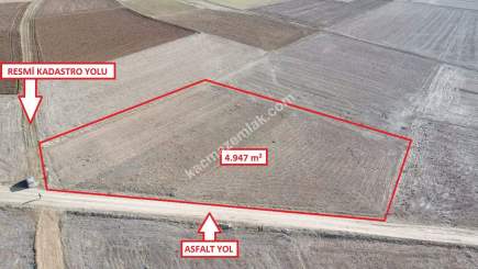 Kütahya Aslanapa Çalköy' De 4947M2 Satılık Tarla 21