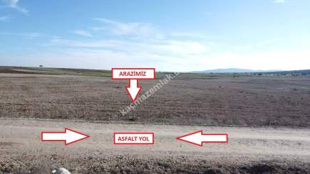 Kütahya Aslanapa Çalköy' De 4947M2 Satılık Tarla 4