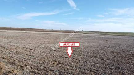 Kütahya Aslanapa Çalköy' De 4947M2 Satılık Tarla 3